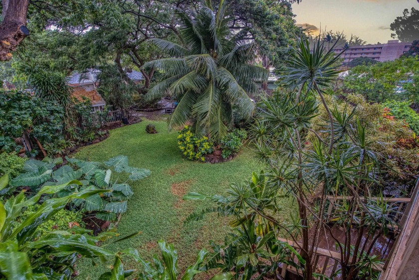 Lovely plantation home on half an acre in Kihei. This 3 bed 2 - Beach Home for sale in Kihei, Hawaii on Beachhouse.com