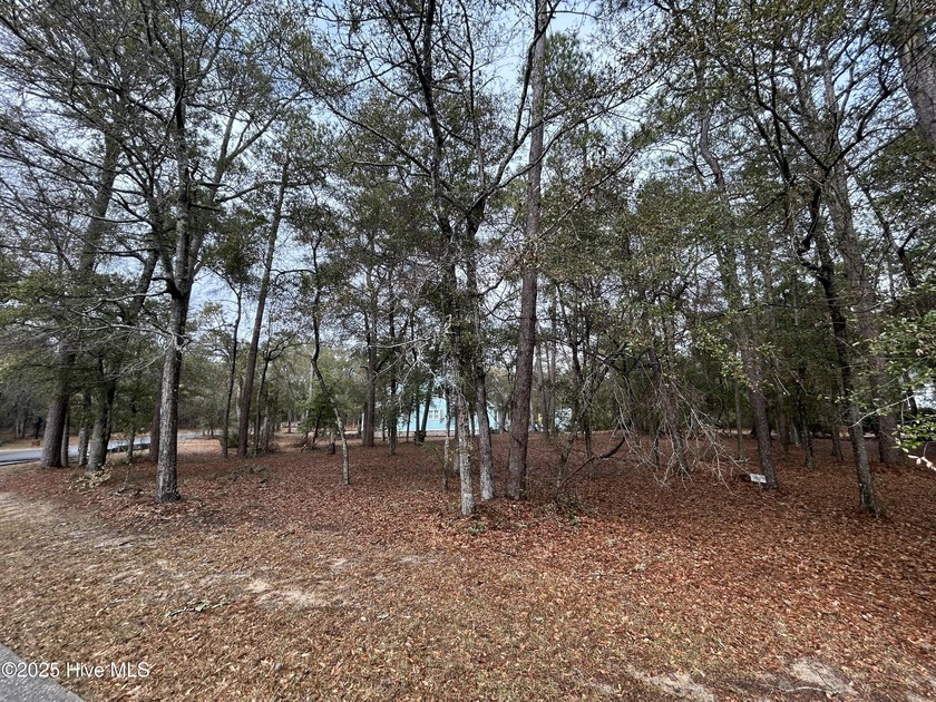 ***Motivated seller is now offering $2,500 towards buyer's - Beach Lot for sale in Supply, North Carolina on Beachhouse.com