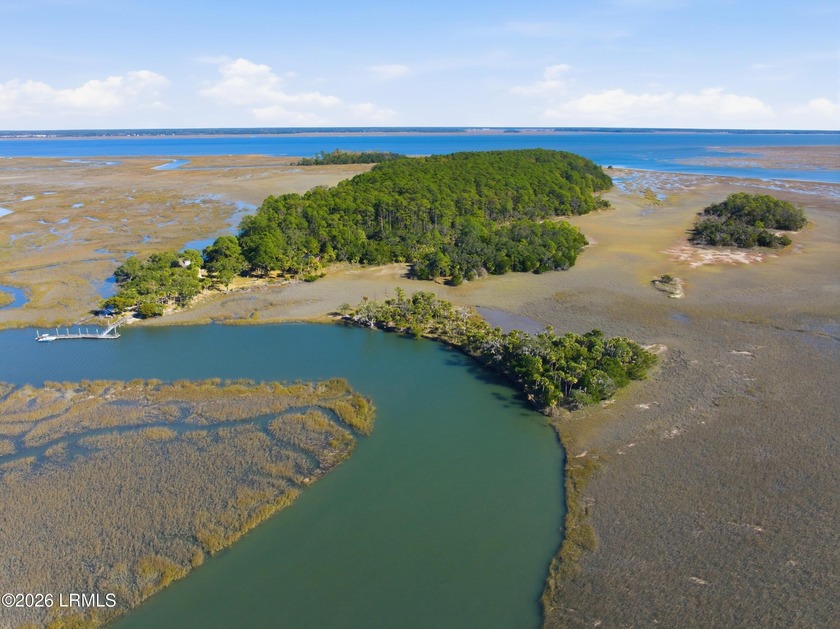 A truly extraordinary offering, this 460-acre private island - Beach Acreage for sale in Port Royal, South Carolina on Beachhouse.com