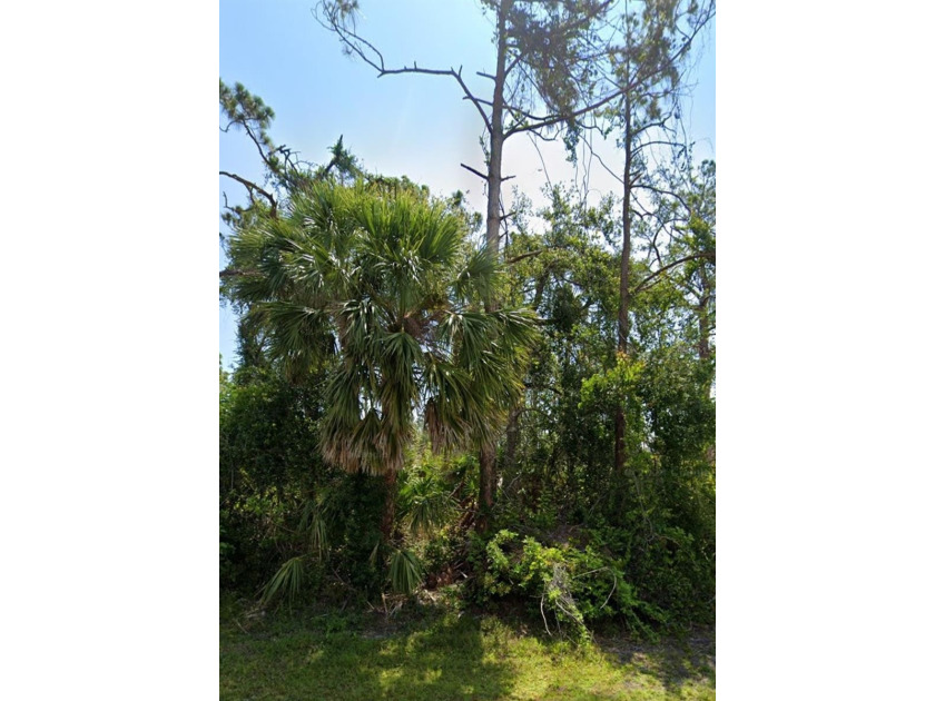 Build your dream home on this residential building lot in the - Beach Lot for sale in Port Charlotte, Florida on Beachhouse.com