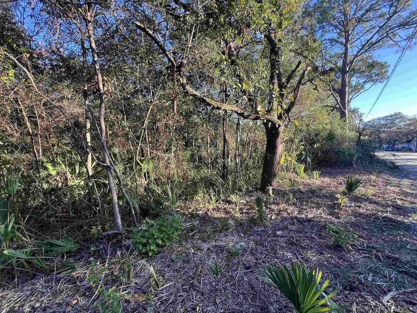 Fantastic price for a buildable lot in Panacea on Florida's - Beach Lot for sale in Panacea, Florida on Beachhouse.com