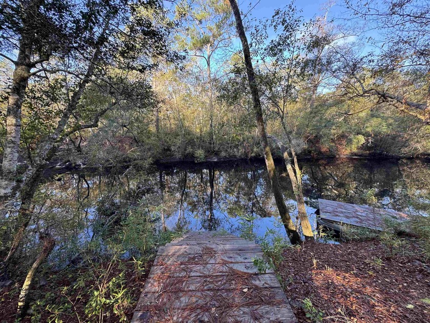 Sopchoppy Riverfront at its finest. Over 200 feet on the river - Beach Lot for sale in Sopchoppy, Florida on Beachhouse.com