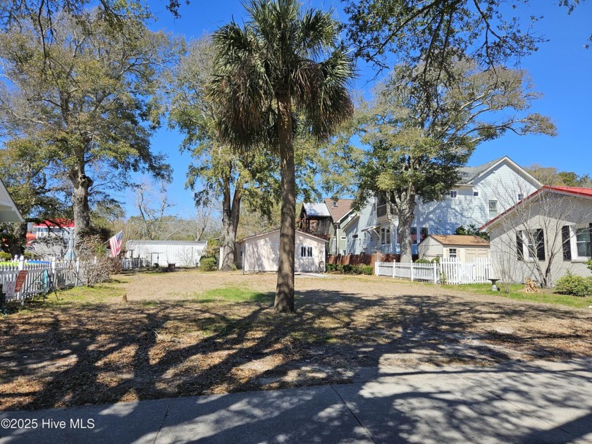 This is an opportunity to own a Truly Historic piece of Downtown - Beach Lot for sale in Southport, North Carolina on Beachhouse.com