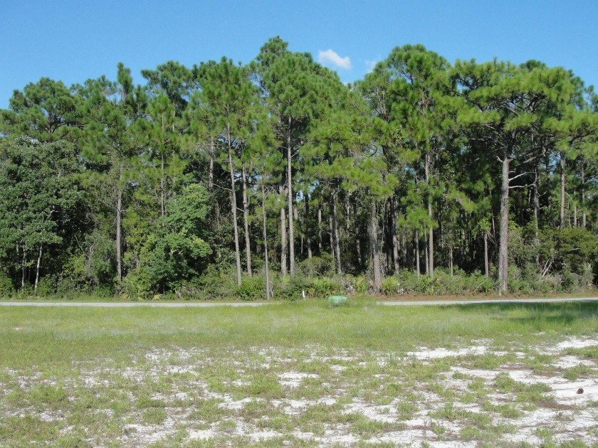 GREAT LOCATION! High and dry. Sound front community. Build your - Beach Lot for sale in Gulf Breeze, Florida on Beachhouse.com