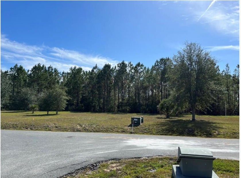 This large lot is now available in a welcoming HOA community - Beach Lot for sale in Steinhatchee, Florida on Beachhouse.com
