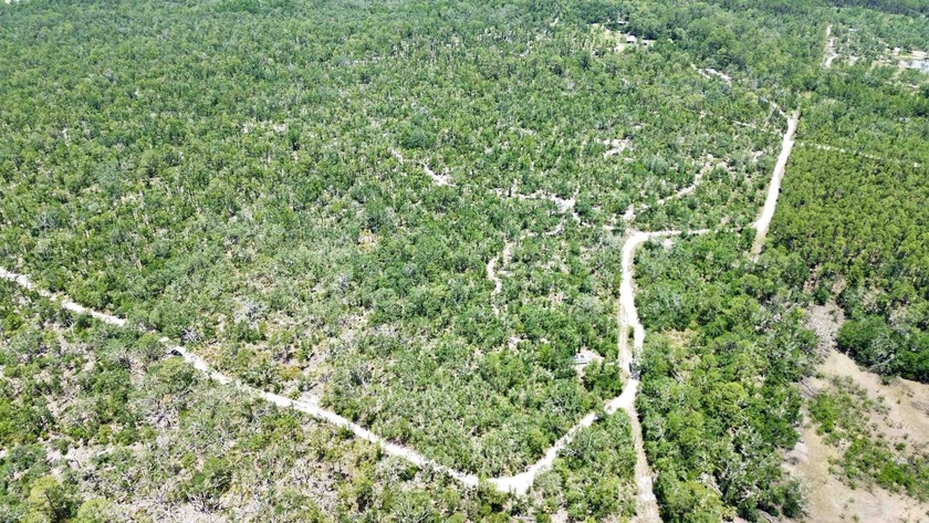 Discover 25 pristine acres off Clearwater Creek Lane in Perry - Beach Acreage for sale in Perry, Florida on Beachhouse.com