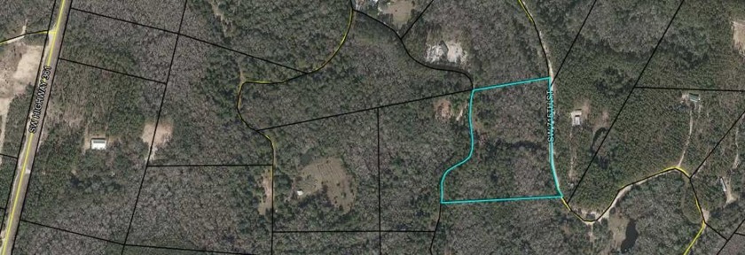 10 Wooded acres with a well and septic, some wetlands, and - Beach Acreage for sale in Steinhatchee, Florida on Beachhouse.com