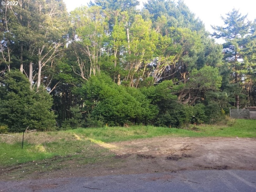 47x60 FT lot with a peek of the ocean through the trees! Located - Beach Lot for sale in Port Orford, Oregon on Beachhouse.com