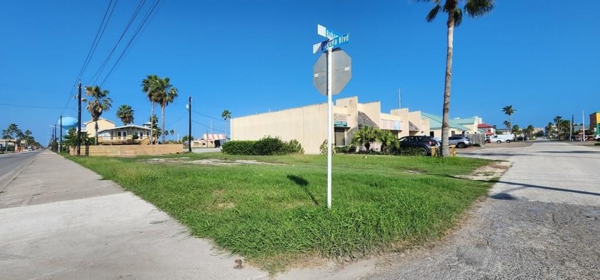 More photos coming tomorrow - Beach Lot for sale in South Padre Island, Texas on Beachhouse.com