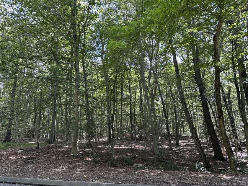 Amazing opportunity to build your DREAM HOME! A Nature Lover's - Beach Acreage for sale in Stamford, Connecticut on Beachhouse.com