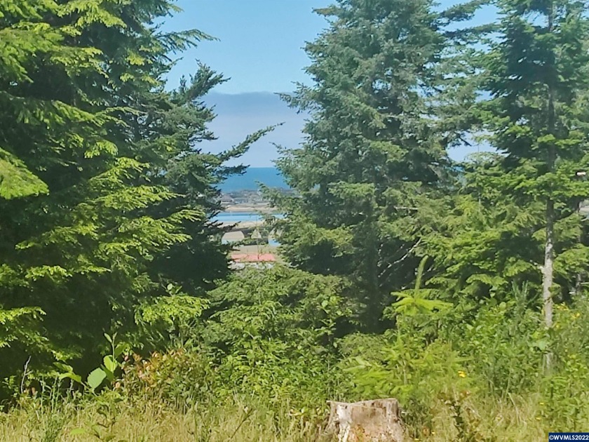 Come build your dream home or create your own private getaway on - Beach Acreage for sale in Waldport, Oregon on Beachhouse.com