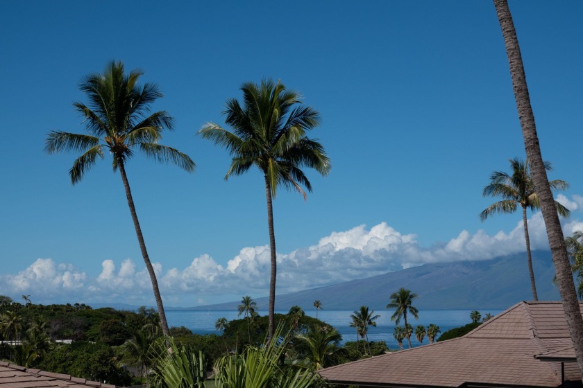 Fantastic opportunity for an upstairs two bedroom two bathroom - Beach Condo for sale in Lahaina, Hawaii on Beachhouse.com