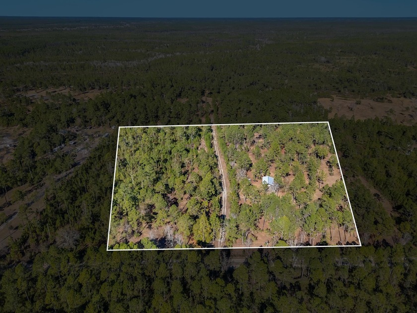 Experience the rare opportunity to own 12.4 private acres in the - Beach Acreage for sale in Carabelle, Florida on Beachhouse.com