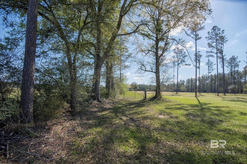 Cleared, unzoned, and full of potential, this beautiful 10-acre - Beach Acreage for sale in Robertsdale, Alabama on Beachhouse.com