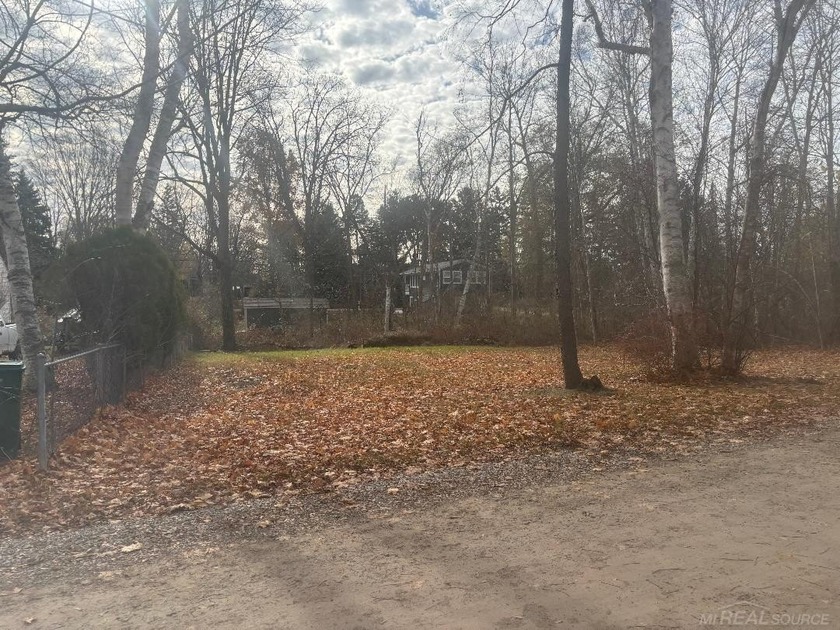 Large Corner Double Lot 124X136 on east and 120 on west - Beach Lot for sale in Lexington, Michigan on Beachhouse.com