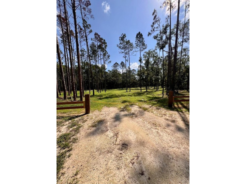 MOTIVATED SELLER! BRING ALL OFFERS!****Discover a fantastic - Beach Acreage for sale in Steinhatchee, Florida on Beachhouse.com