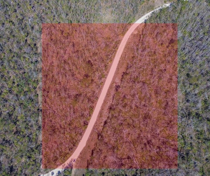 This unique 10.5-acre parcel, located on the Jena side of - Beach Acreage for sale in Steinhatchee, Florida on Beachhouse.com