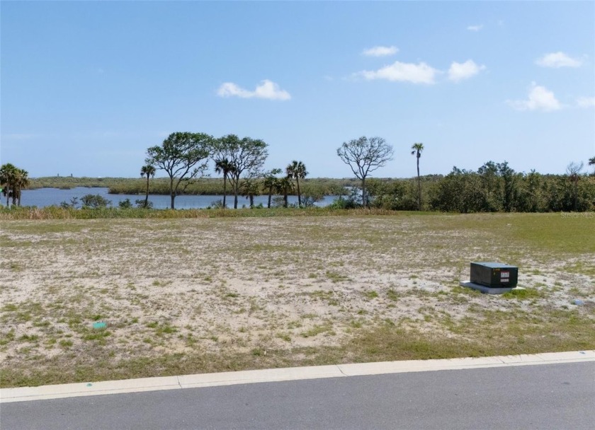 Have you always wanted to live on the water?  Well, here's your - Beach Lot for sale in Flagler Beach, Florida on Beachhouse.com