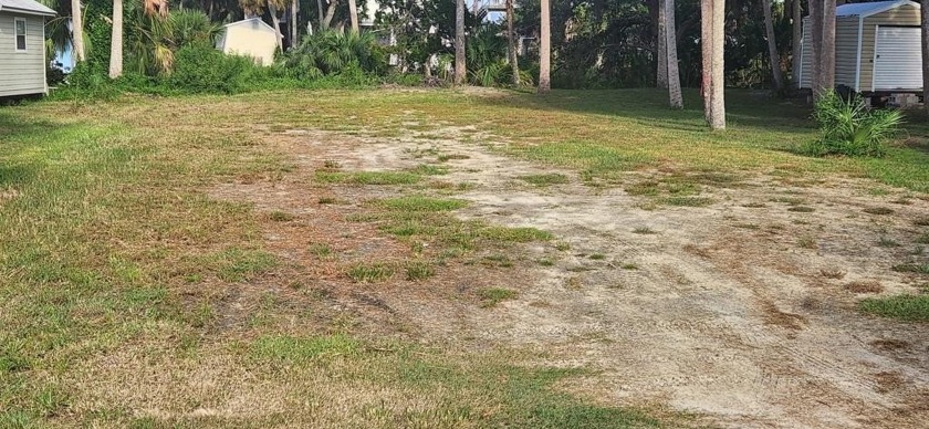 Possible owner financing fot this beutiful waterfront lot in - Beach Lot for sale in Suwannee, Florida on Beachhouse.com