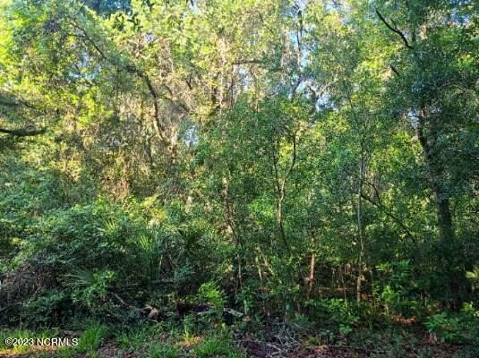 Check out this attractive buildable homesite located in the - Beach Lot for sale in Bald Head Island, North Carolina on Beachhouse.com