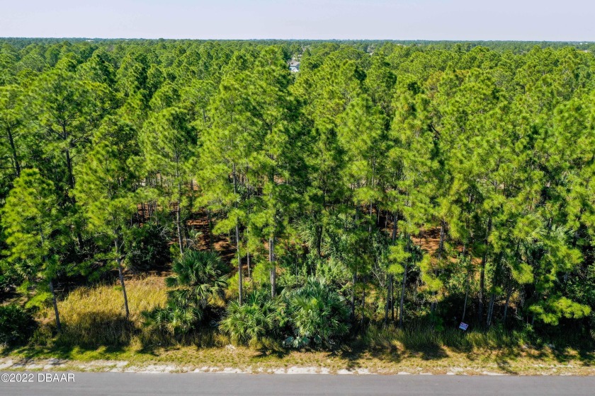 2 High and dry oversized lots in Port Malabar unit #25 southeast - Beach Lot for sale in Palm Bay, Florida on Beachhouse.com