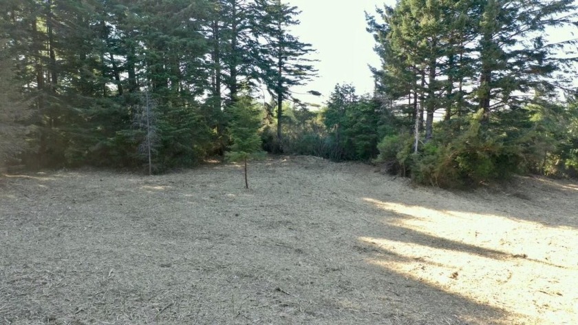 Discover a prime hilltop property spanning 59.6 nearly flat - Beach Acreage for sale in Port Orford, Oregon on Beachhouse.com