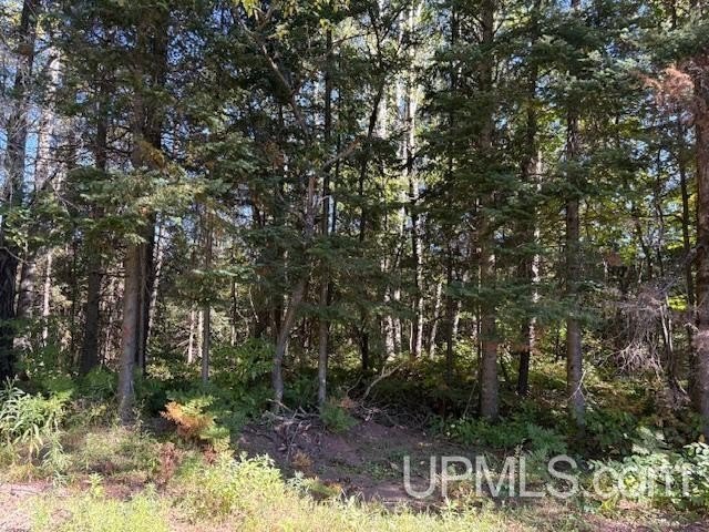 AFFORDABLE BUILDING SITE!! This, almost two acre nicely wood - Beach Lot for sale in Ironwood, Michigan on Beachhouse.com