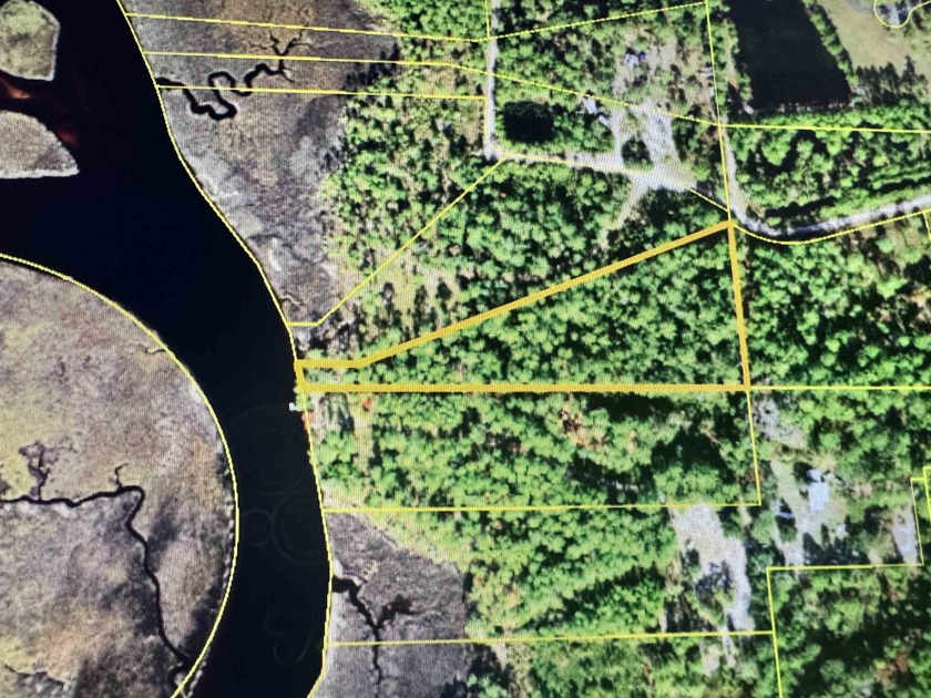 Discover this beautiful 3.23-acre tract of land with - Beach Acreage for sale in Carabelle, Florida on Beachhouse.com