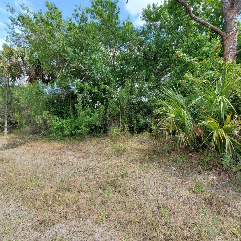 ''Buy land, they're not making it anymore''. -  Mark Twain - Beach Lot for sale in Vero Beach, Florida on Beachhouse.com