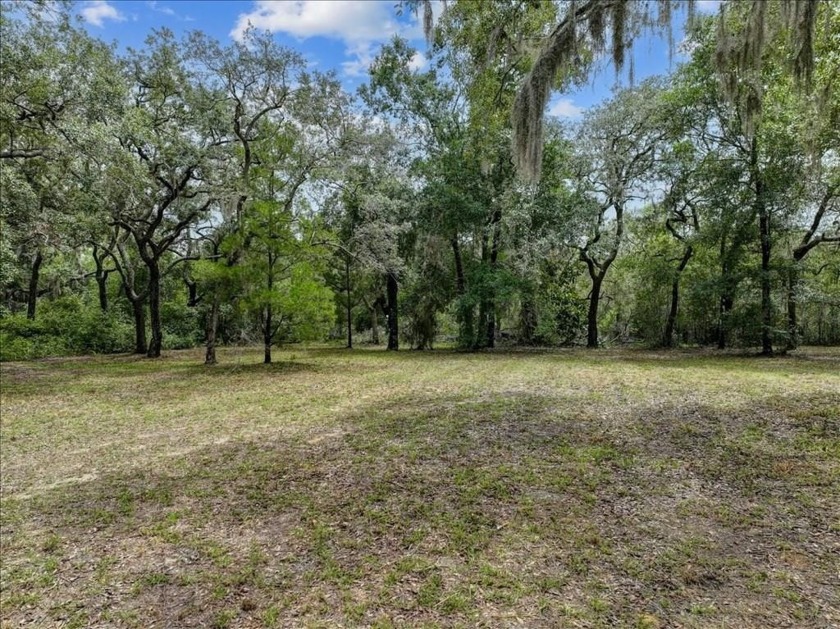 Nestled in a stunning waterfront community, this beautiful lot - Beach Lot for sale in Steinhatchee, Florida on Beachhouse.com