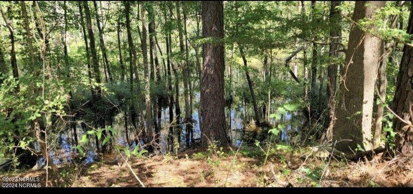 This 8+ acres is a perfect compound location for your dream - Beach Acreage for sale in New Bern, North Carolina on Beachhouse.com