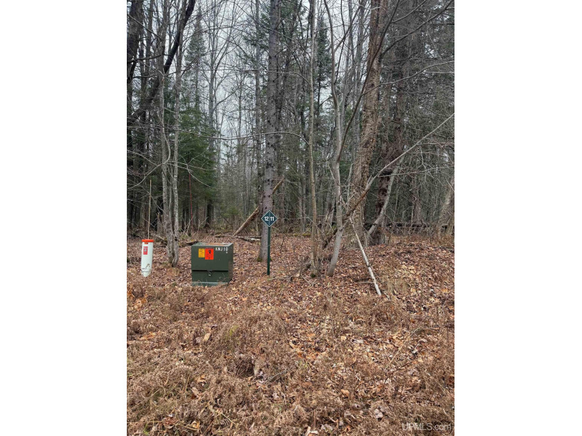 Reasonably priced waterfront in The Upper Peninsula of Michigan - Beach Lot for sale in Lake Linden, Michigan on Beachhouse.com