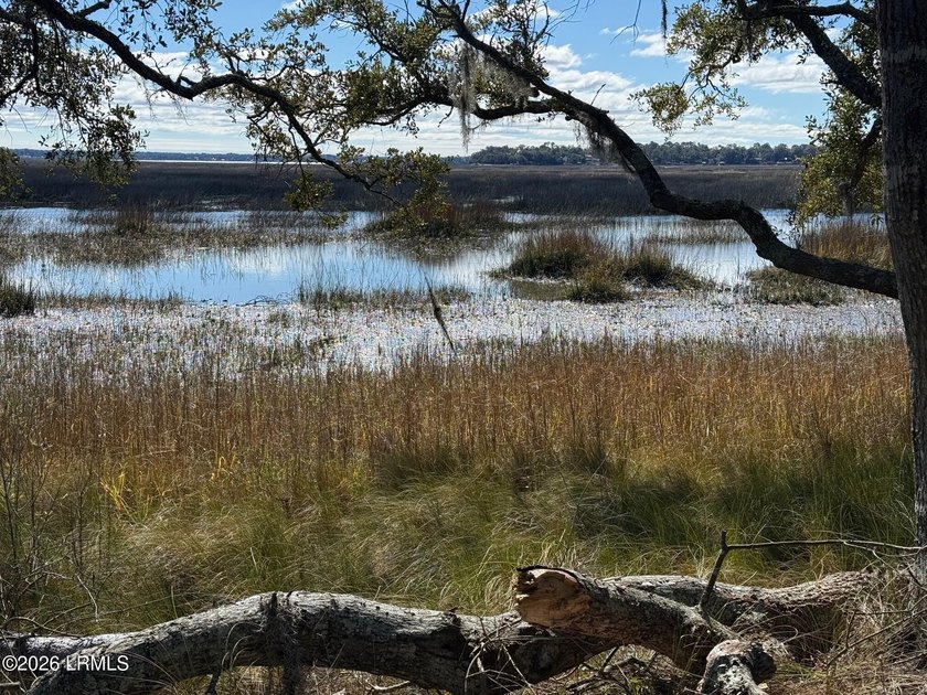 Awe-inspiring 180 degree water marsh views. Located on a cul de - Beach Lot for sale in Beaufort, South Carolina on Beachhouse.com