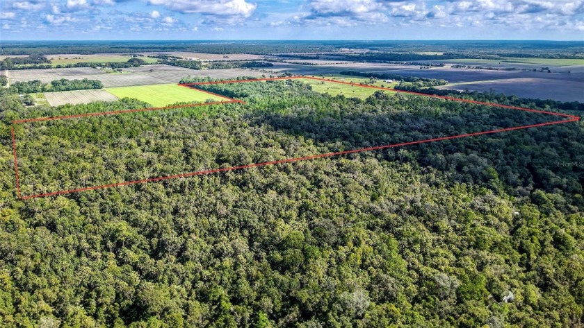Amazing opportunity to own a pristine piece of appreciating land - Beach Acreage for sale in Bunnell, Florida on Beachhouse.com