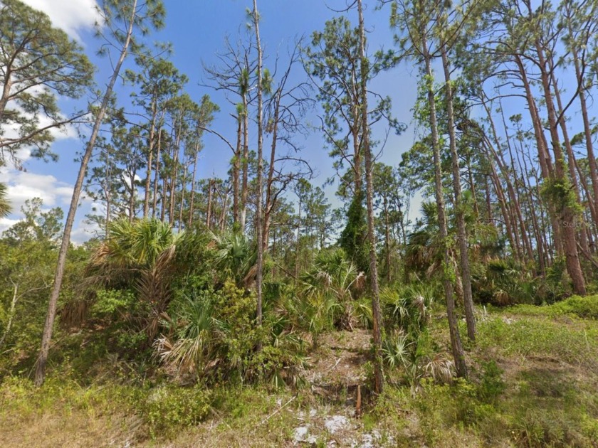 A prime vacant lot perfect for building your dream home or - Beach Lot for sale in Port Charlotte, Florida on Beachhouse.com