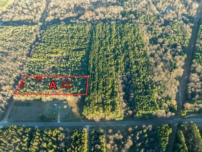 Incredible opportunity to own this secluded 3.03 acres nestled - Beach Acreage for sale in Mears, Michigan on Beachhouse.com