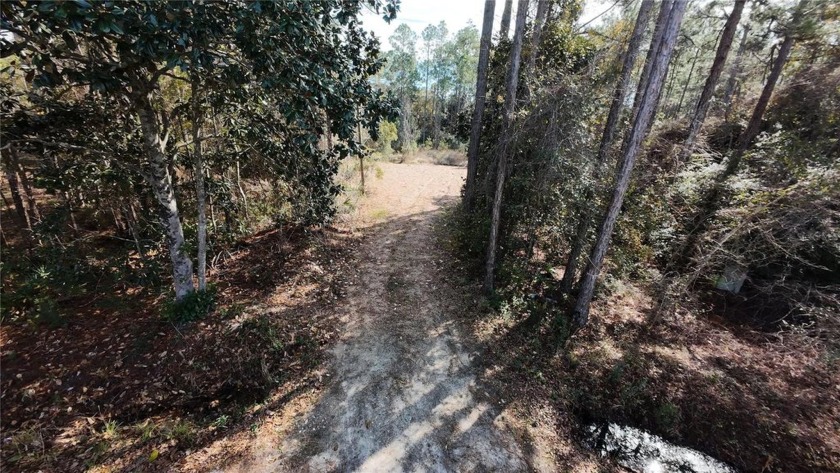 Building your dream home near Florida's stunning soft sandy - Beach Lot for sale in Santa Rosa Beach, Florida on Beachhouse.com