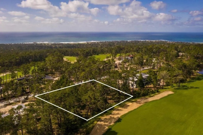 Nearly midway up Poppy Lane on the high side of the road and - Beach Lot for sale in Pebble Beach, California on Beachhouse.com