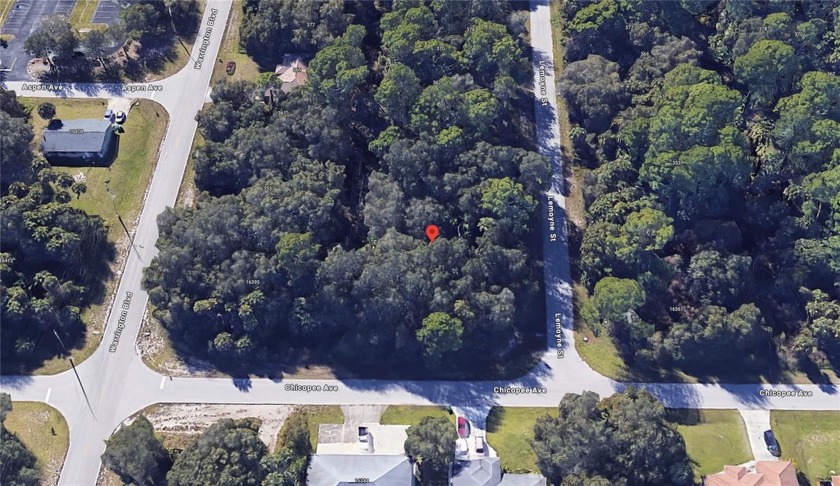 Great OVERSIZED DOUBLE LOT for sale in Port Charlotte, that is - Beach Lot for sale in Port Charlotte, Florida on Beachhouse.com