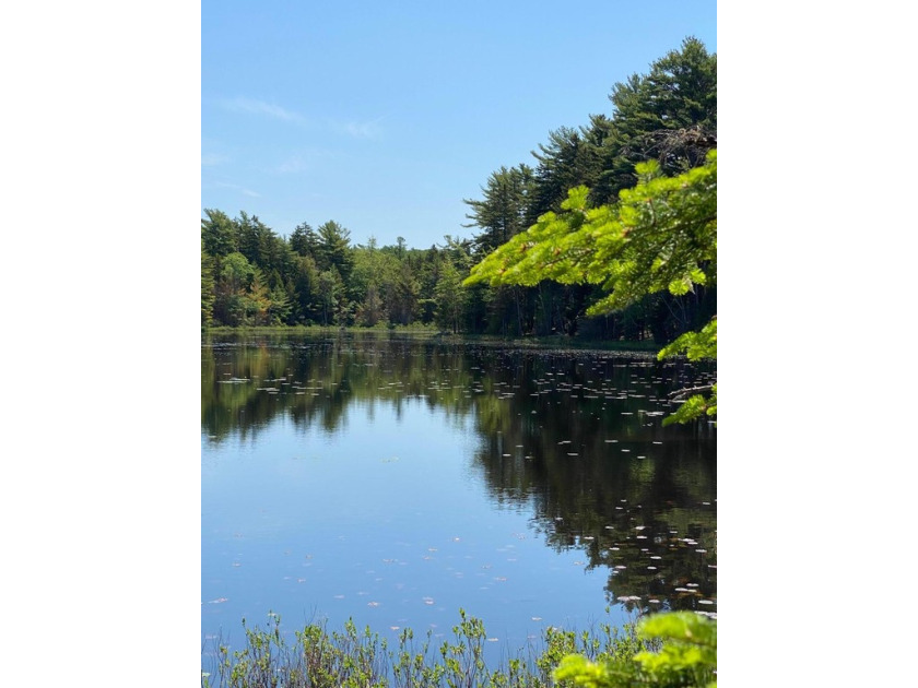 Little Echo Lake is the best kept secret on Mount Desert Island - Beach Acreage for sale in Mount Desert, Maine on Beachhouse.com