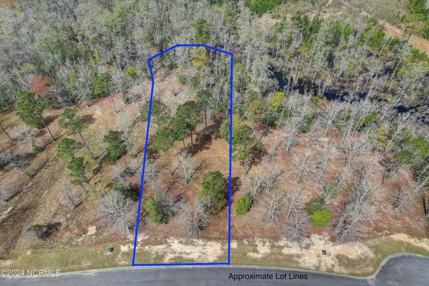 Ready to build your new home at the beach? Lovely deep lot - Beach Lot for sale in Supply, North Carolina on Beachhouse.com