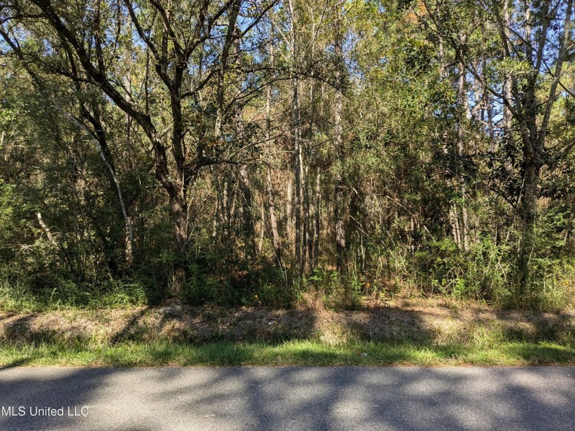 Awesome opportunity to purchase 4 lots is now yours!  There are - Beach Lot for sale in Bay Saint Louis, Mississippi on Beachhouse.com