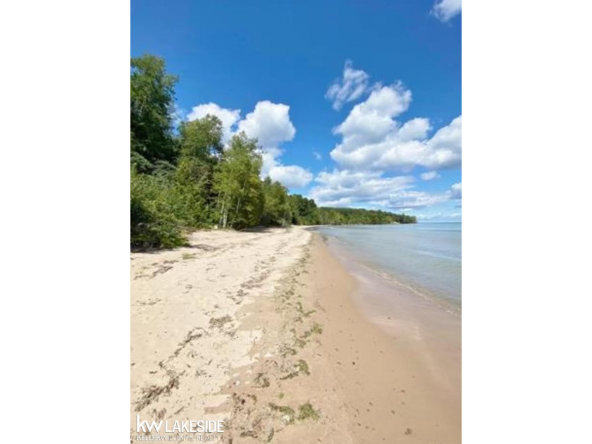 6248 Lakeshore Dr - Vacant Lakefront Parcel on Lake Huron - Beach Lot for sale in Palms, Michigan on Beachhouse.com