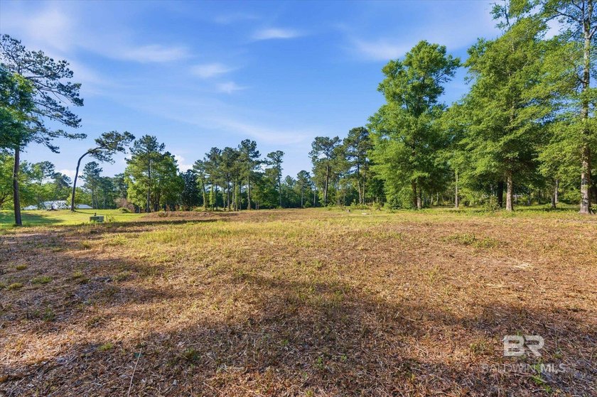 Ready to build your dream home?This beautiful waterfront lot in - Beach Lot for sale in Mobile, Alabama on Beachhouse.com