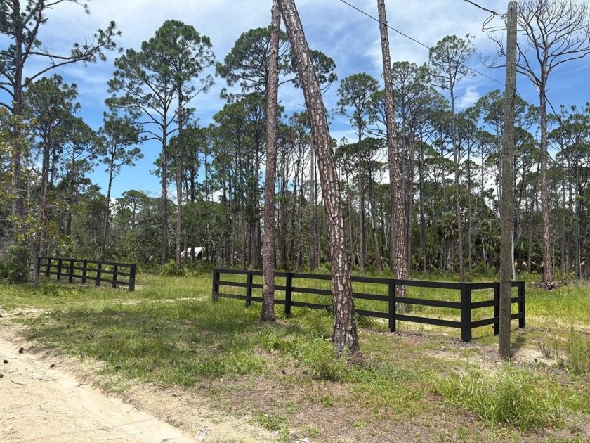 A blank canvas awaits! This .96 acre lot in beautiful - Beach Lot for sale in Steinhatchee, Florida on Beachhouse.com