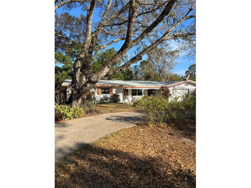 Ranch-Style Mid Century Home built in 1975 along beautiful tree - Beach Home for sale in Vero Beach, Florida on Beachhouse.com