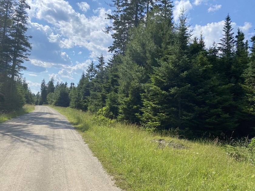 Settle into a well-established subdivision, the former Grace - Beach Acreage for sale in Islesboro, Maine on Beachhouse.com