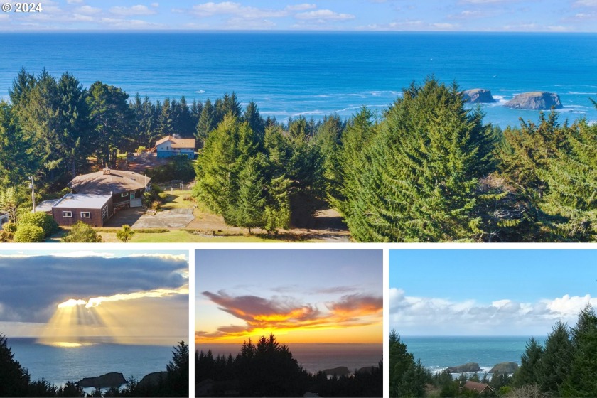 EVERCHANGING EPIC VIEWS OF THE OCEAN AND WHALESHEAD ROCK! The - Beach Home for sale in Brookings, Oregon on Beachhouse.com
