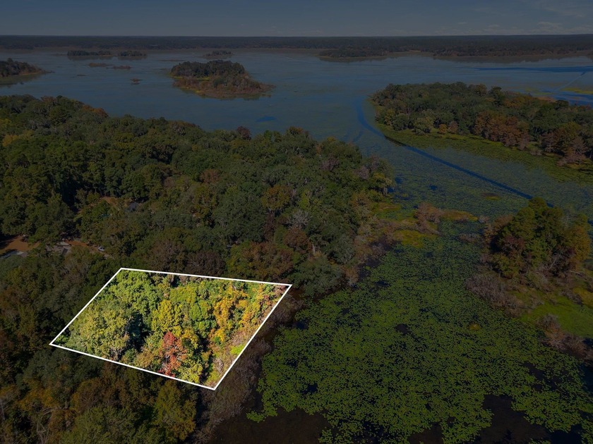 Embrace the perfect blend of tranquility and convenience with - Beach Lot for sale in Tallahassee, Florida on Beachhouse.com