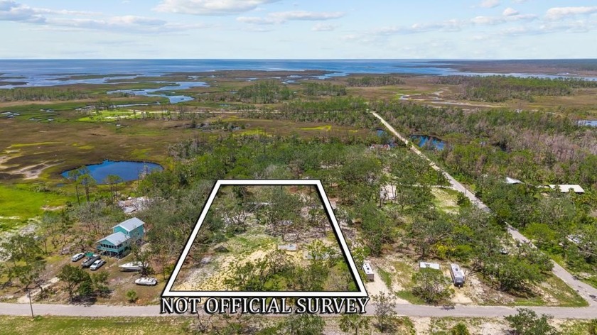 Build your dream getaway in Steinhatchee! This beautiful vacant - Beach Lot for sale in Steinhatchee, Florida on Beachhouse.com